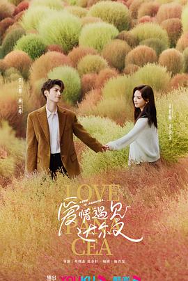 篱笆上海-新上海人用篱笆网