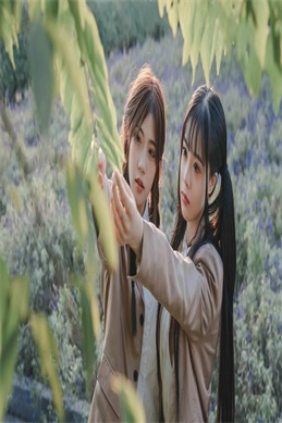 创圣的大天使evol樱花动漫-樱花动漫搜索创圣系列动漫前先确认这几点