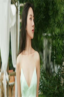 孤零飘落燕 视角-孤零飘落燕的视角解读与写作应用