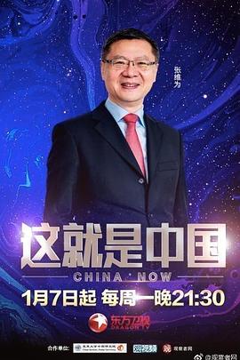 赵文卓电影 苏乞儿-赵文卓版苏乞儿容易混淆