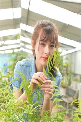雅婷4秋略-相关内容整理