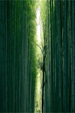 诱人的妺妺2中文在线栏目-避开误区