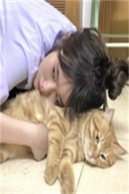 电视剧太平公主-主电视剧还原历史还是戏说