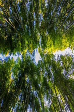 最新搞笑韩剧-这几部最新搞笑韩剧让你笑到停不下来