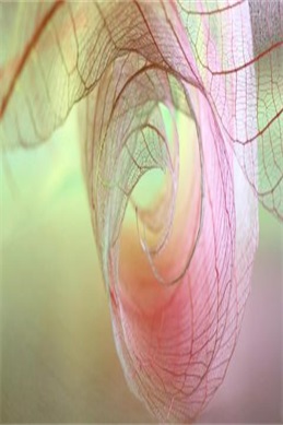水蜜桃881118-常见问题说明