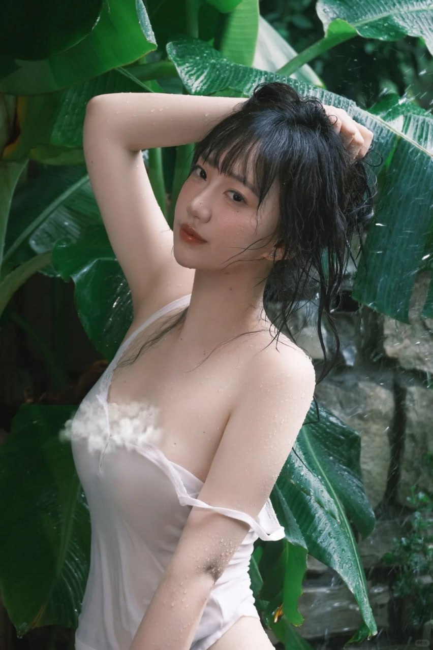 且听凤鸣电视剧免费-风鸣正剧哪里看