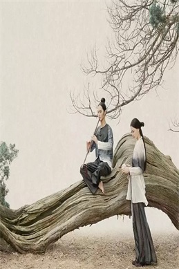 大唐狐妖传高清完整版-大唐狐妖传说看哪个版本