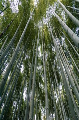 不速之约 粤语-不速之约粤语版追剧指南