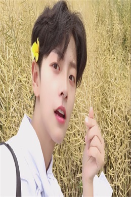 死神少爷黑女巫爱丽丝-来看死神少爷与黑女巫的奇幻故事